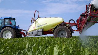 Syngenta looks to greater seed profitability as sales drop