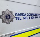 Dumped cattle carcasses leave border farmers 'very worried'