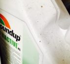 EU member states agree restrictions on the use of Glyphosate