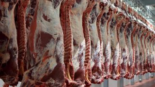 US beef imports decline 16% on June 2015 levels