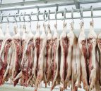 No signs of Chinese pork import demand slowing as prices remain high
