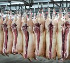 Europe-wide CO2 shortage forces Scottish abattoir to close