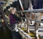 Australian milk production plummets in July
