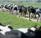 Proposal to further extend superlevy payments shot down in Europe