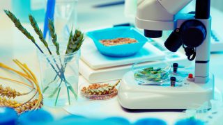 Seed and fungicide sales fuel Bayer’s first quarter results