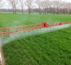 France to vote against glyphosate renewal this Friday