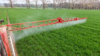 McIntyre: ‘What the big pesticides report should have said’