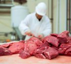 MEPs to vote on new rules to prevent future horsemeat scandal