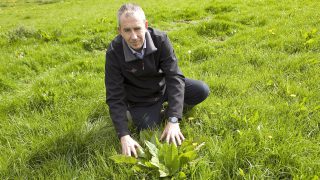 Will contractor spraying become the ‘norm’ within grassland sector?