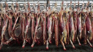 Northern farmers call for accountability on beef specifications