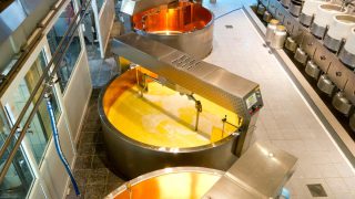Prospects for UK mozzarella cheese production could be dampened