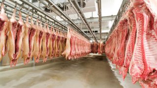 Local abattoirs campaign: ‘Gove appears to be listening’