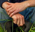 Farming and forestry have the highest suicide rates - Study finds