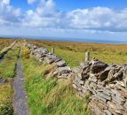 Number of farmers applying to farm assist falls (€88.4m paid out last year)