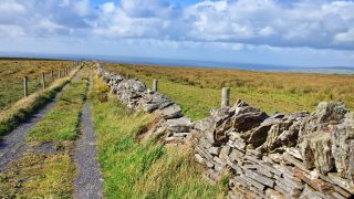 Number of farmers applying to farm assist falls (€88.4m paid out last year)