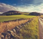 CLA calls for permanent reduction in VAT to boost rural tourism