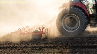 UN contest to bring World Food Day into spotlight