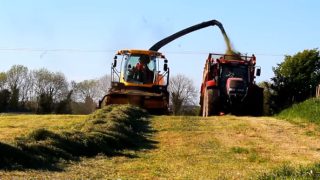 Pre-grazing significantly boosts first cut silage quality