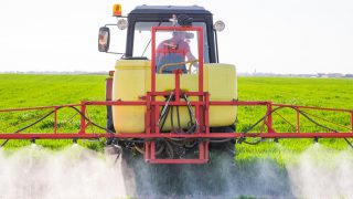 Restrictions on glyphosate use across the EU come into force today