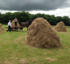 Traditional haymaking takes centre stage at Trim Haymaking Festival