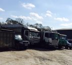 Farmer and haulier fined for transporting an unfit animal