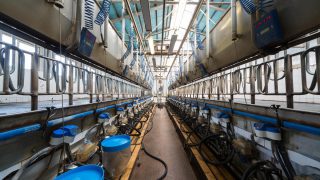EU milk production growth starting to slow down