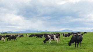 Fonterra Australia cuts milk price for new season due to ‘market conditions’