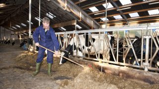 10 things to get your farming ‘auld lad’ this Father’s Day