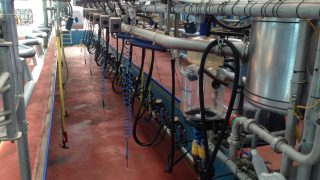 Kerry the latest co-op to increase October milk price