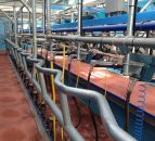 Time to play 'hard ball' with dairy processors as strike action looms