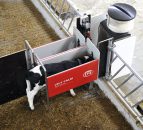 Lely calf feeder designed to help identify calf health problems at an early stage