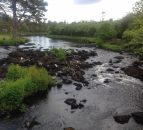 Farmer in the North fined for polluting waterway