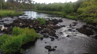 CCC report: UK environmental bodies commit to joint action