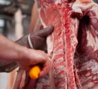 Meeting carcase specification to increase profitability