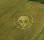 Crop circle of an alien appears in a field of wheat in the UK