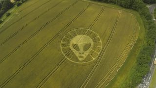 Crop circle of an alien appears in a field of wheat in the UK