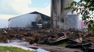 Video: Fire on family-run dairy farm kills 160 cows