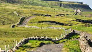 Corncrake may become no more than a memory if habitat degradation continues