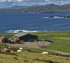 Key EU decision on agricultural emissions expected this month
