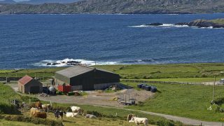 Key EU decision on agricultural emissions expected this month