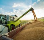 Date for the diary: CAFRE arable conference to focus on soils
