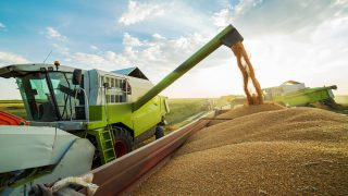 Scottish Quality Crops launches new website 