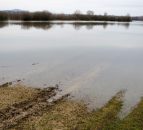 NFU campaign to highlight importance of harvest after 'disastrous weather'