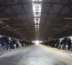 More details of the EU's Milk Reduction Scheme revealed