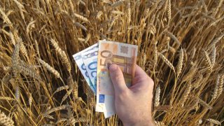 Will future risks be shared along the entire agri food chain?