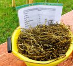 Silage quality shock on the cards for farmers