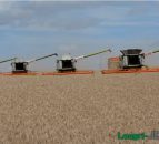 Amazing footage shows four Claas combines working together for the harvest