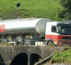 Dairygold updates logo for the first time in 25 years
