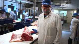 New beef steak cut developed by US researchers