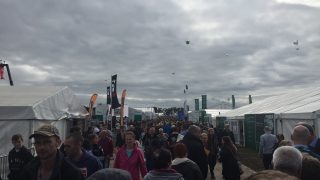 Take a selfie with Harry the Hereford at this year’s Ploughing